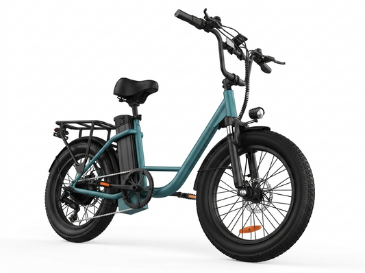 URLIFE 1000W E20 Electric Bike | 48V 13Ah Removable Battery, 28MPH, 20''X3" Fat Tire, 7-Speed E-Bike with Dual Disc Brake